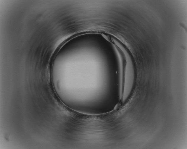 X0000091340838200708241221