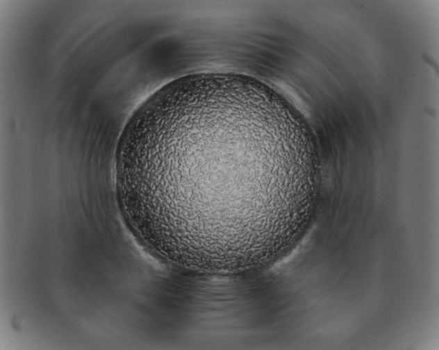 X0000091340839200708241221