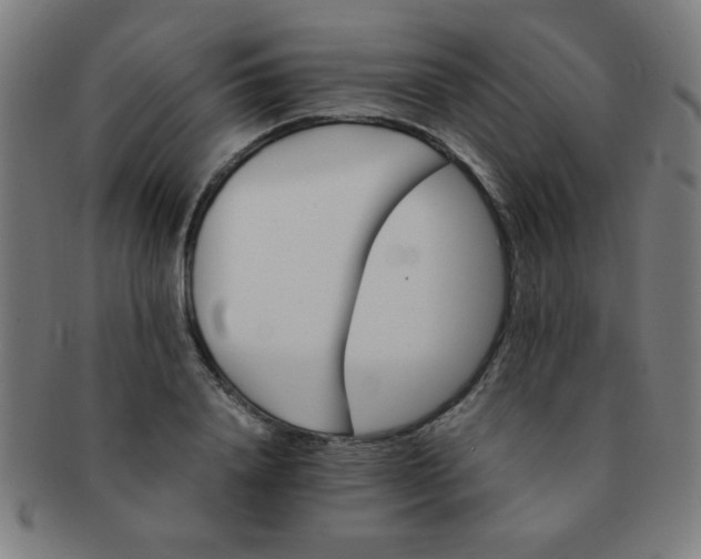 X0000091340840200708241221