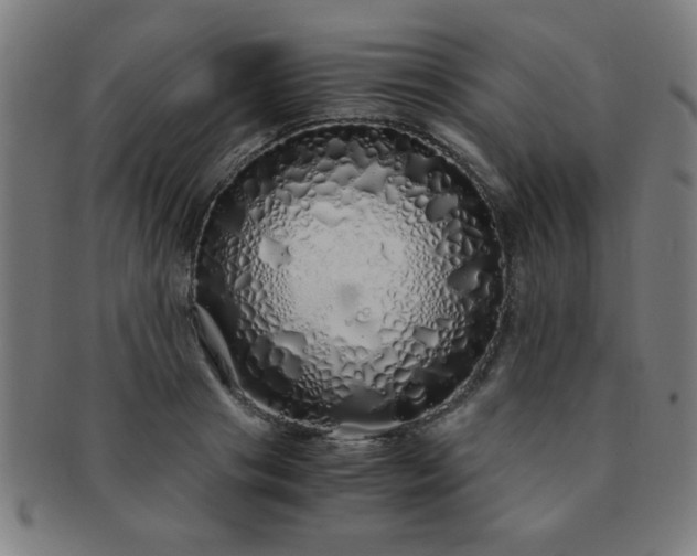 X0000091340841200708241221