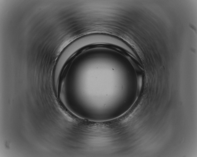 X0000091340842200708241221