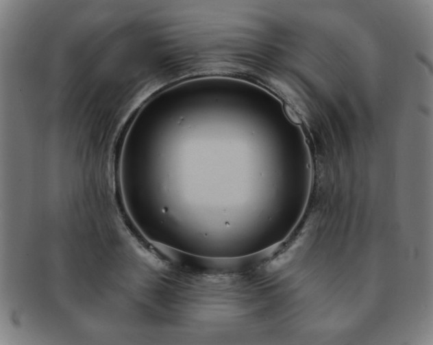 X0000091340843200708241221