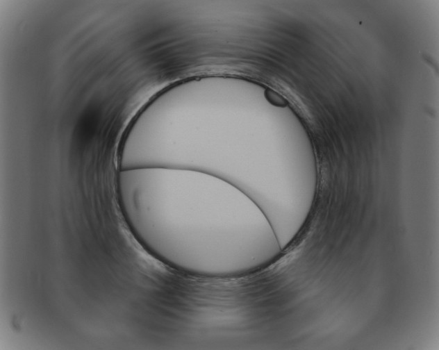 X0000091340844200708241221