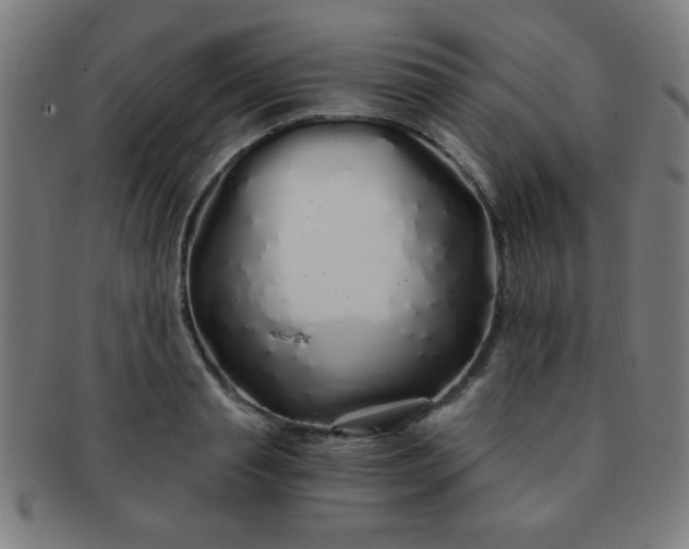 X0000091340845200708241221