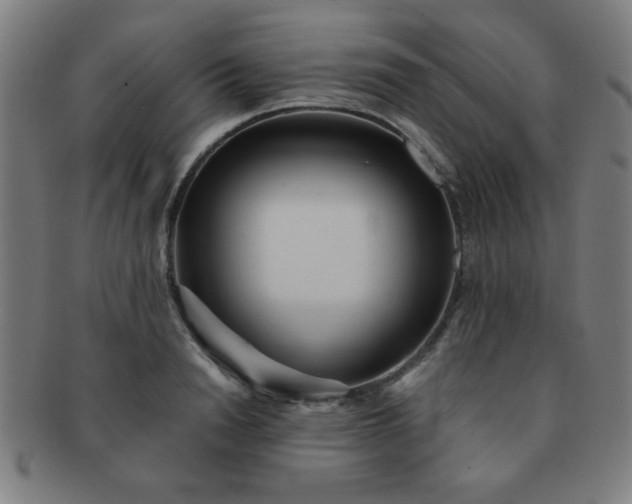 X0000091340846200708241221