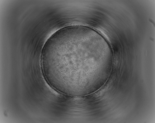 X0000091340847200708241221