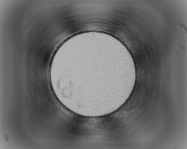 X0000091340848200708241221