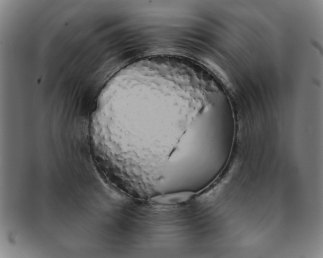 X0000091340849200708241221