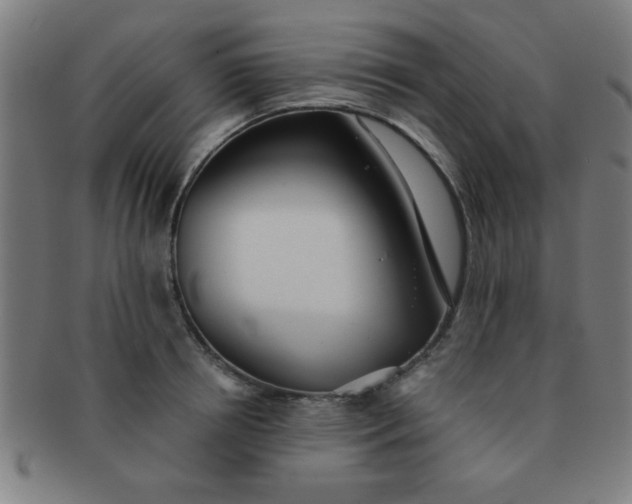 X0000091340850200708241221