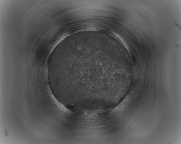 X0000091340851200708241221