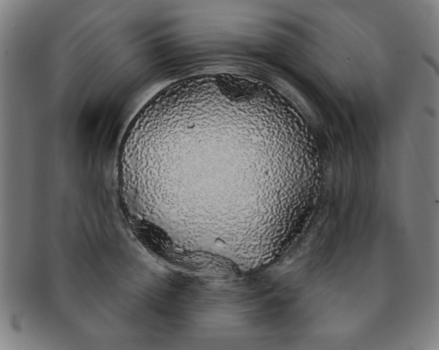 X0000091340852200708241221