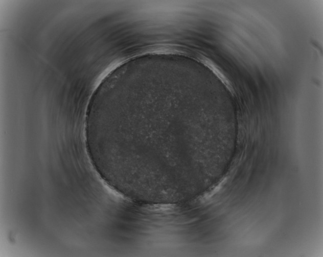 X0000091340853200708241221