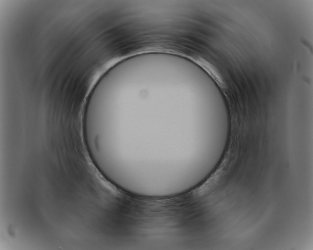 X0000091340854200708241221