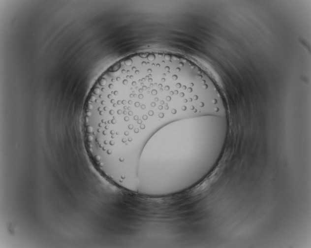 X0000091340855200708241221