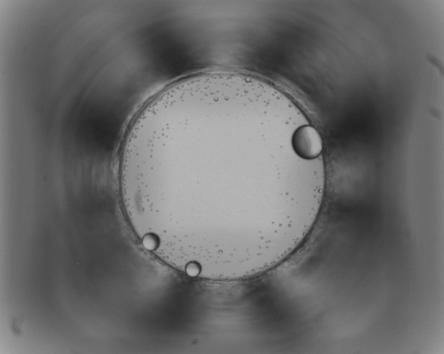 X0000091340856200708241221