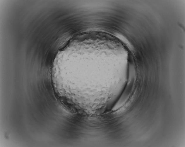 X0000091340857200708241221