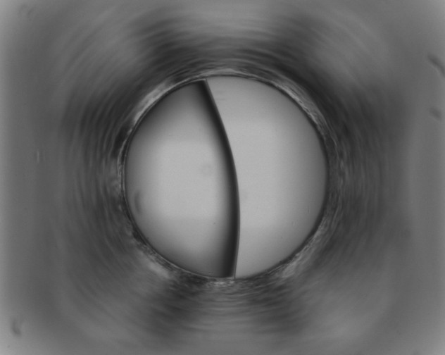 X0000091340858200708241221