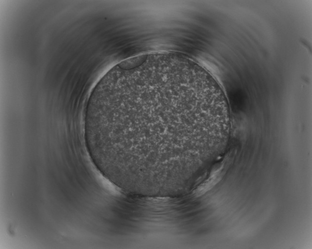 X0000091340859200708241221