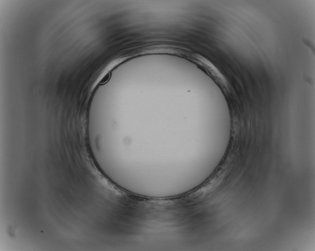 X0000091340860200708241221