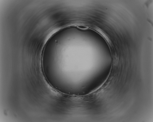 X0000091340861200708241221