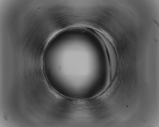 X0000091340862200708241221