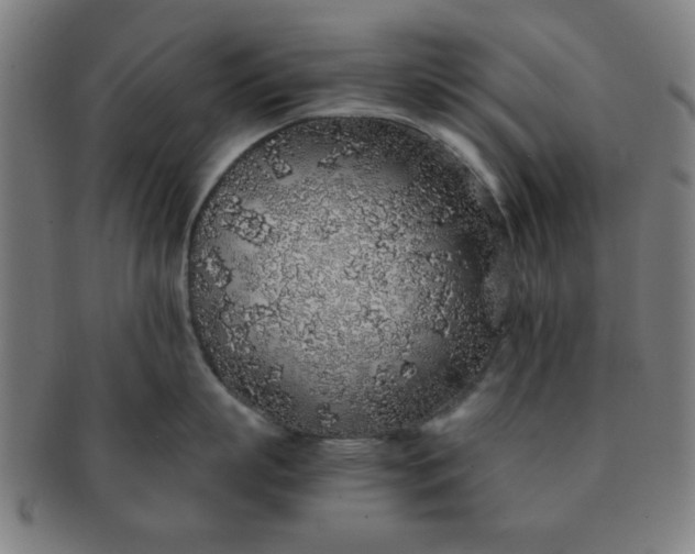 X0000091340863200708241221