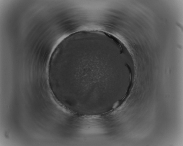 X0000091340864200708241221