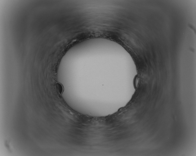 X0000091340865200708241221