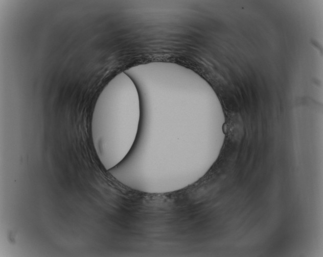 X0000091340866200708241221