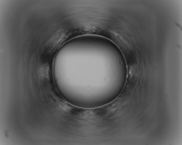 X0000091340867200708241221