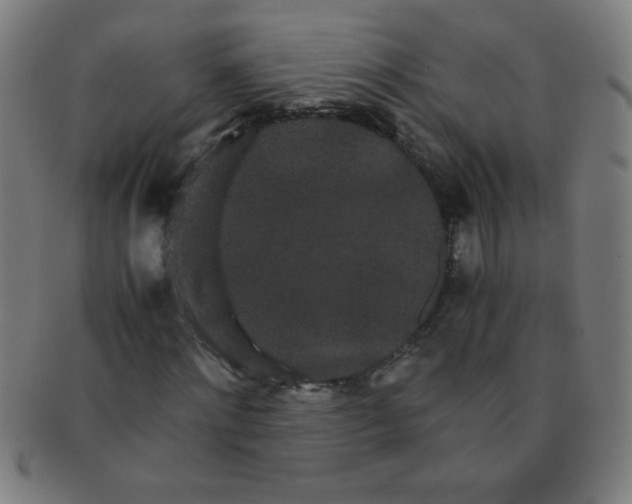 X0000091340868200708241221