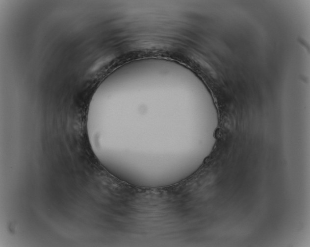 X0000091340869200708241221