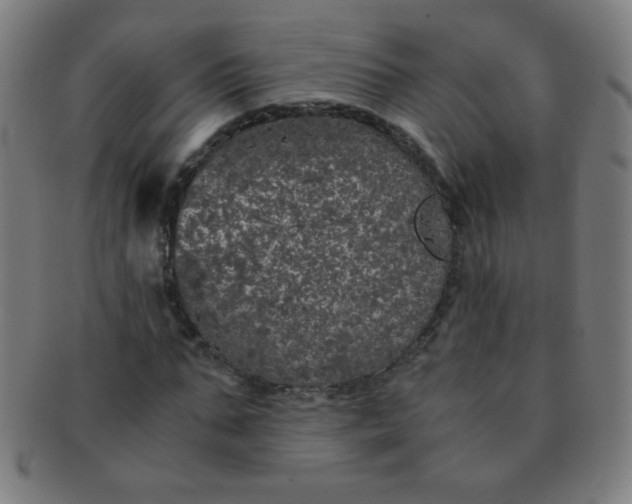 X0000091340871200708241221