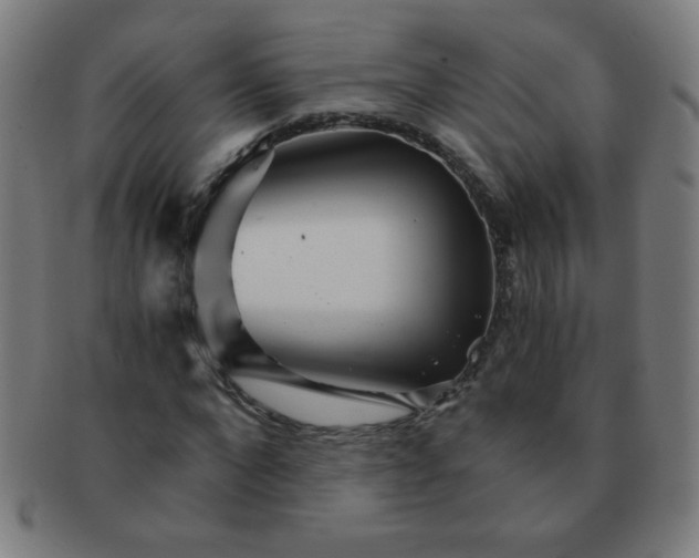 X0000091340872200708241221