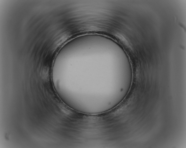 X0000091340873200708241221