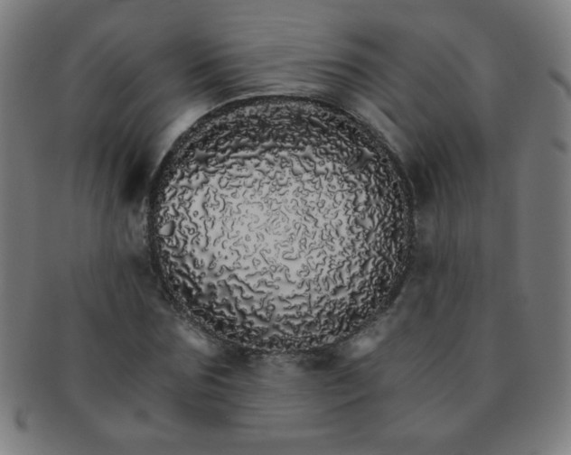 X0000091340875200708241221