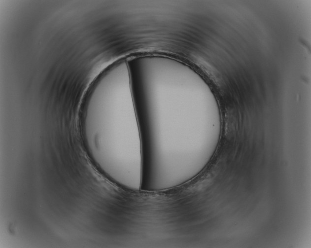 X0000091340876200708241221