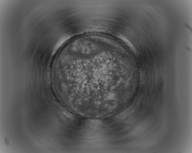 X0000091340878200708241221