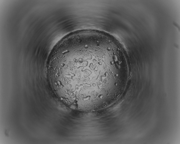 X0000091340879200708241221