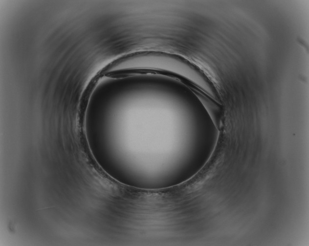 X0000091340880200708241221