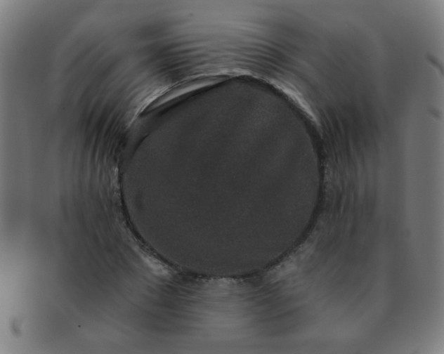 X0000091340881200708241221