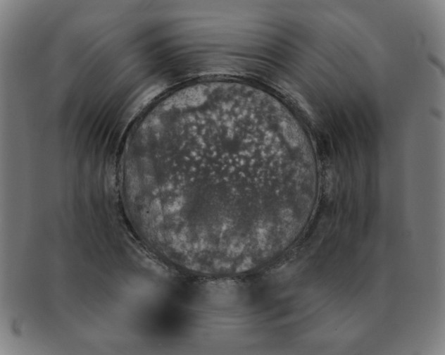 X0000091340882200708241221