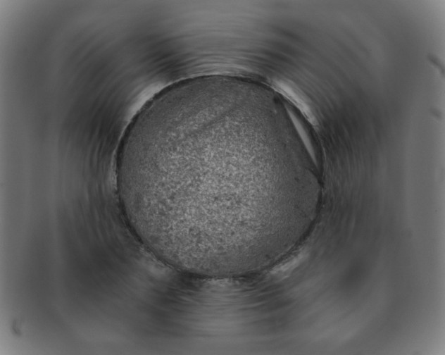 X0000091340883200708241221