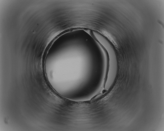 X0000091340884200708241221