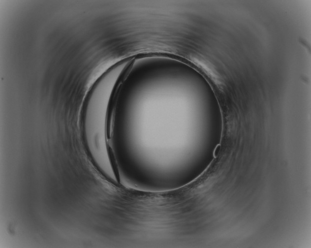 X0000091340885200708241220