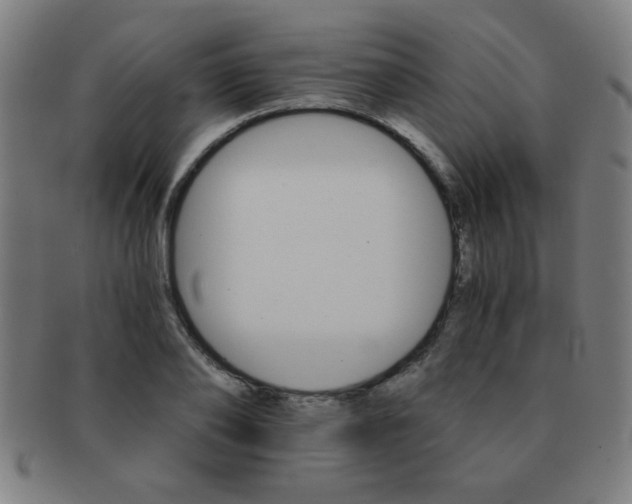 X0000091340886200708241220