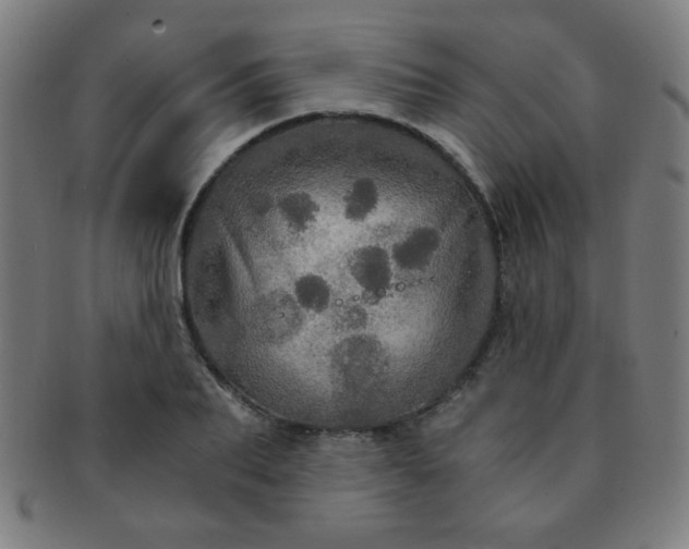 X0000091340887200708241220