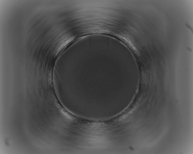 X0000091340889200708241220