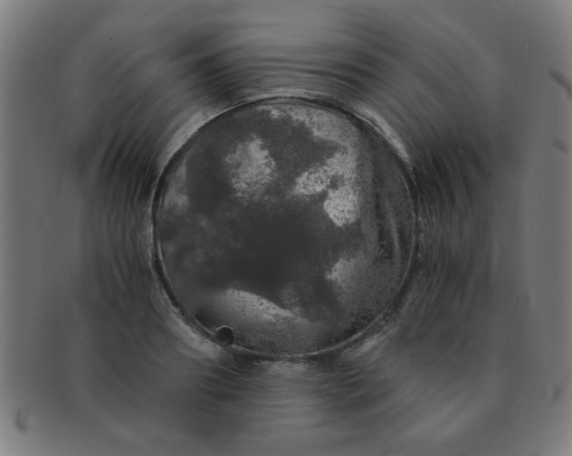 X0000091340890200708241220