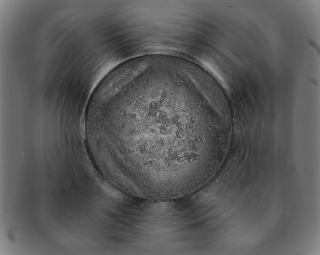 X0000091340891200708241220